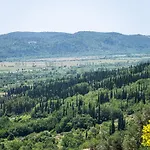 Oliva * Gruda