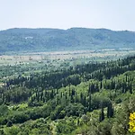Oliva Vila Gruda
