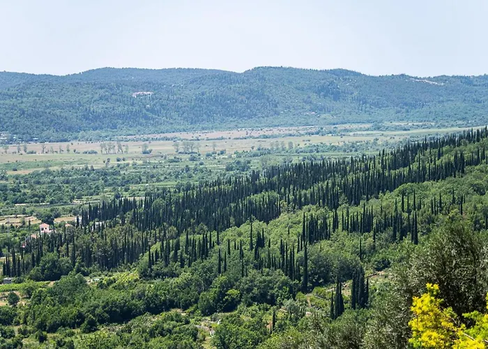 Oliva Villa Gruda