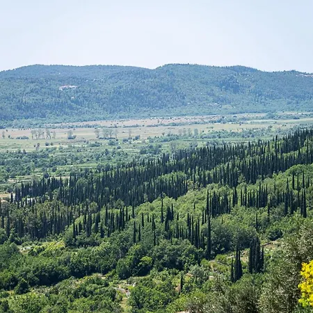 Oliva Βίλα Gruda